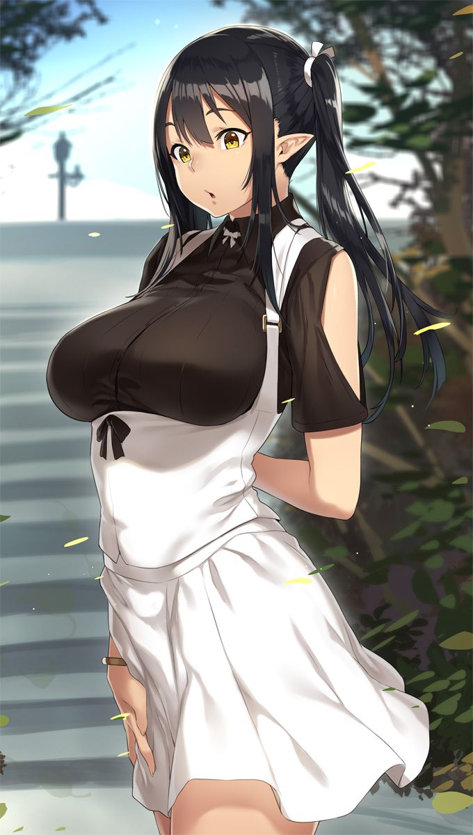 エルフのエロ画像フォルダを解放していく