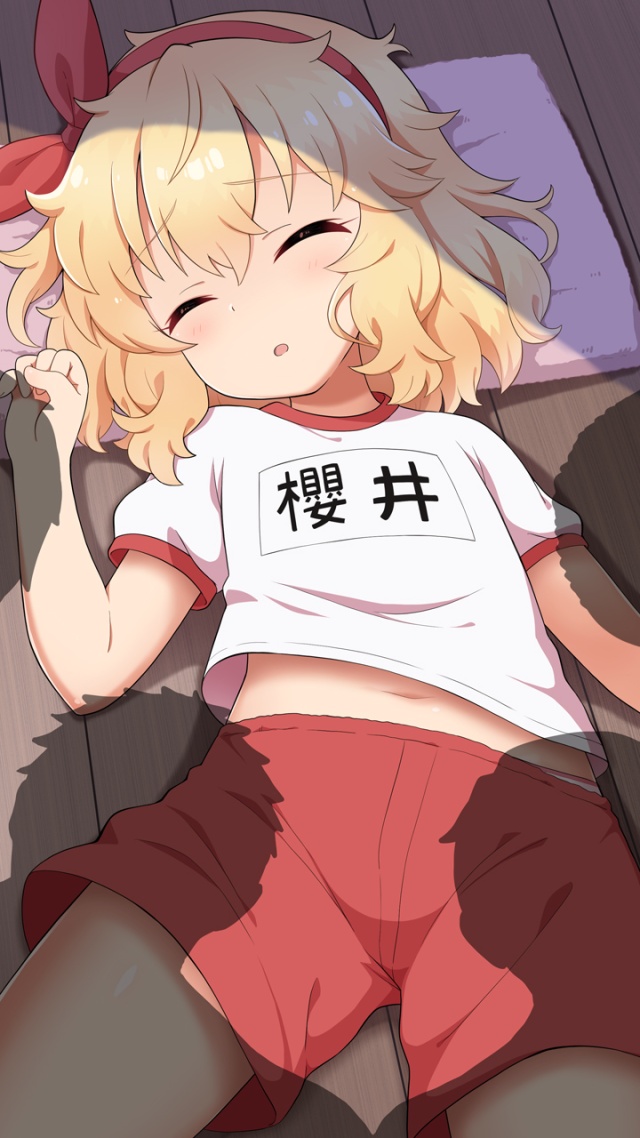 体操服・ブルマの二次エロ画像を愛でる。