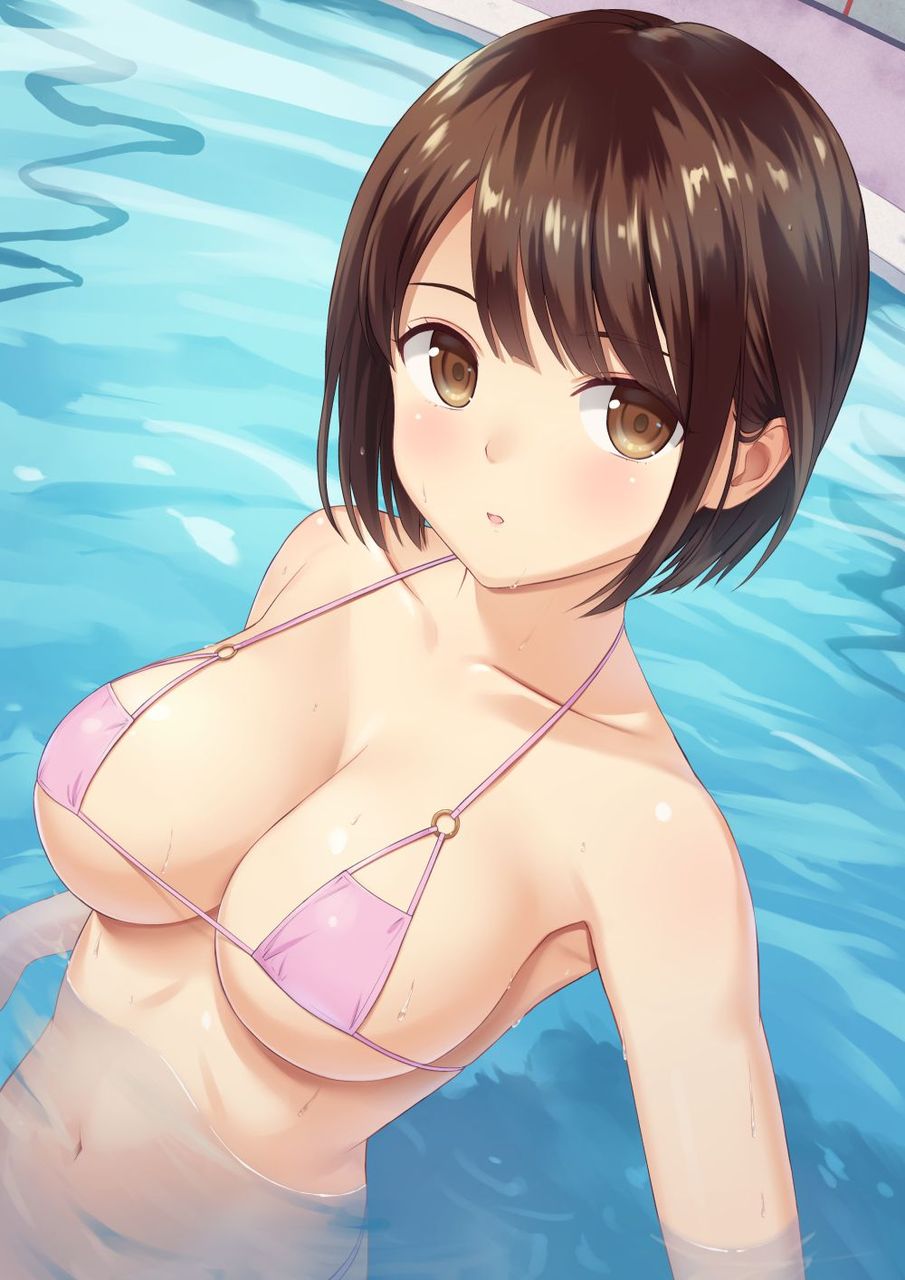 ビキニのレベルが高いエロ画像