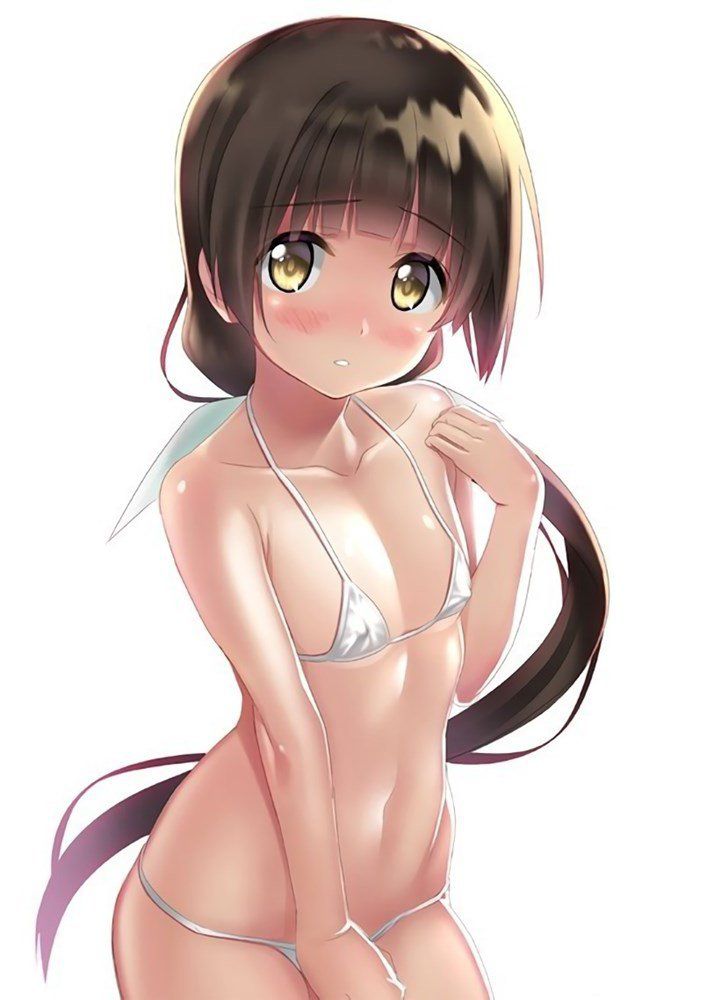 貧乳のエロ画像フォルダを解放していく
