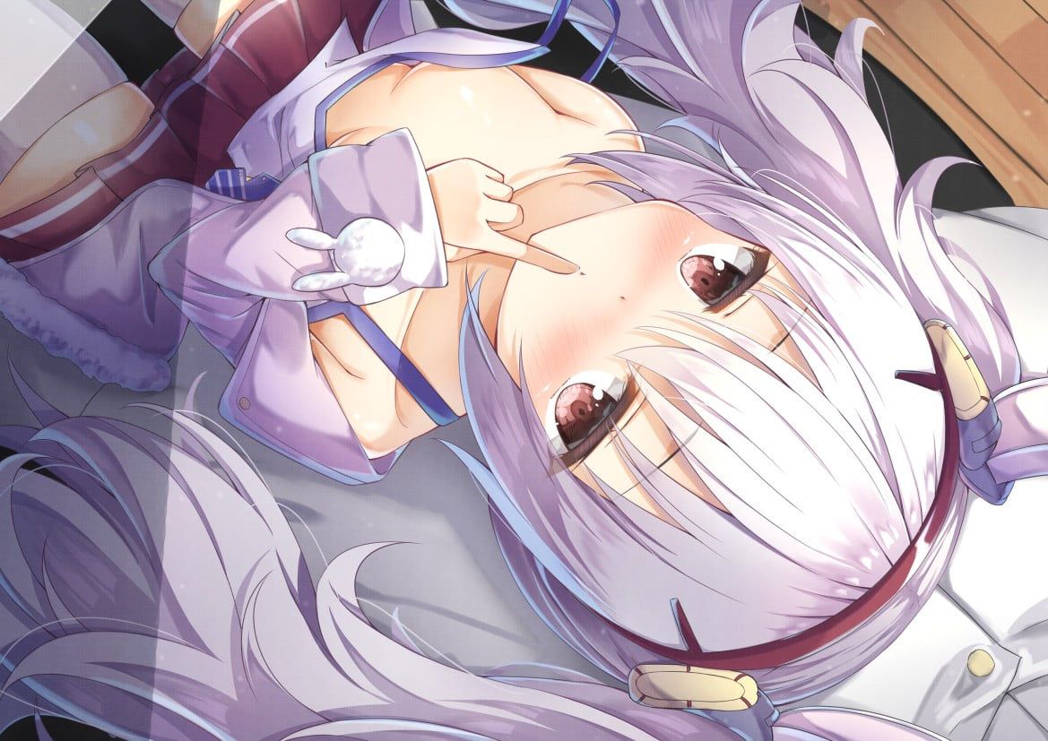 貧乳の二次エロ画像まとめ