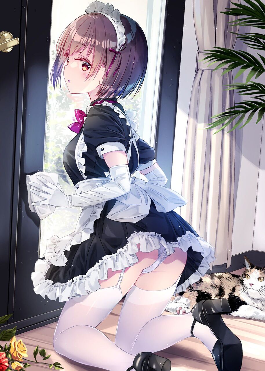 メイドの二次エロ画像を愛でる。