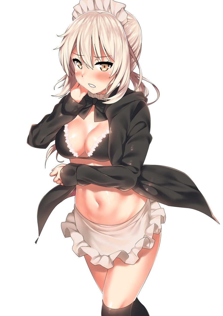メイドの二次エロ画像を愛でる。