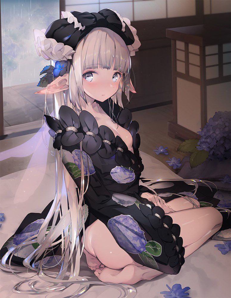 エルフのエロ画像を集めてみた