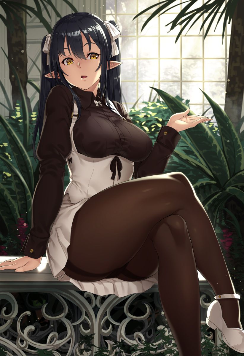エルフのエロ画像を集めてみた