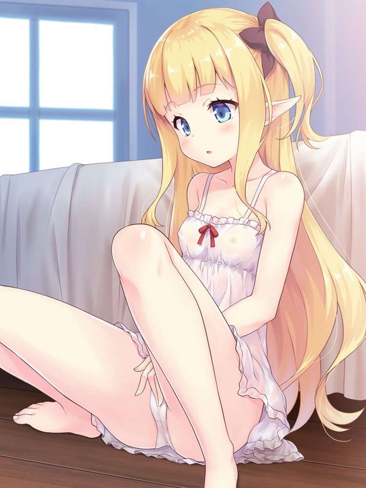 エルフのエロ画像を集めてみた