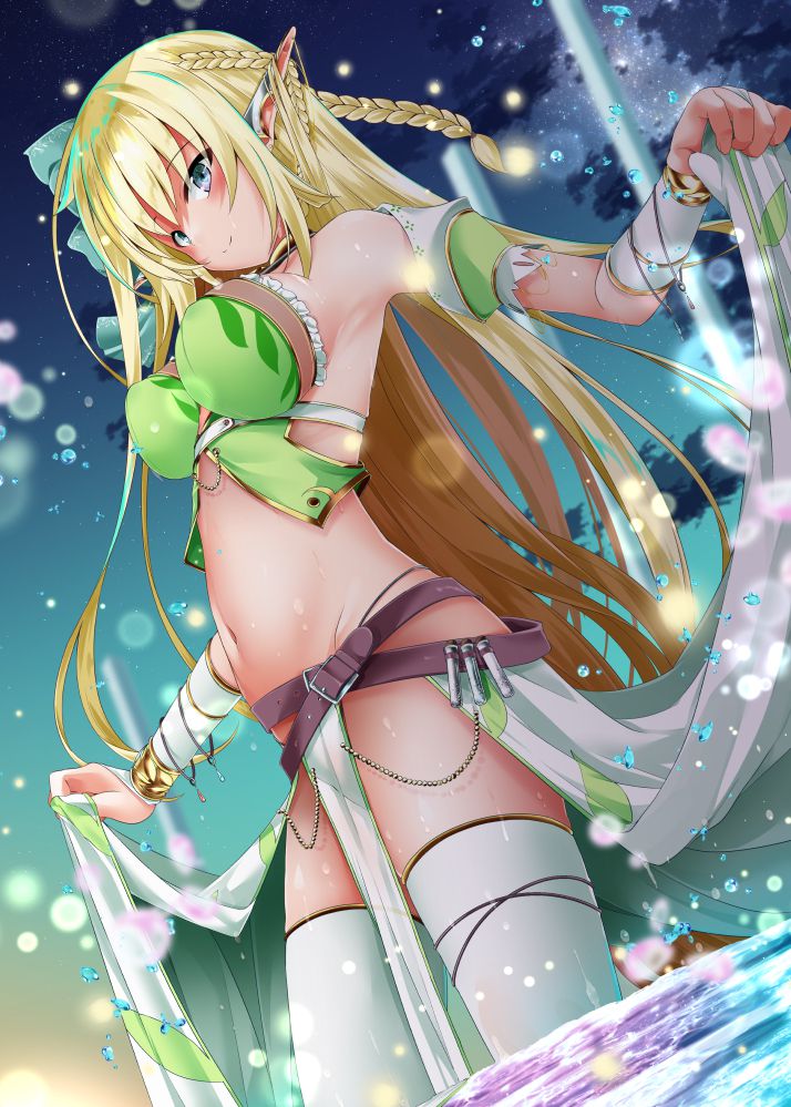 エルフの二次フェチ画像。