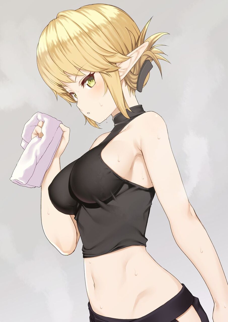 エルフのエロ画像集めてみたよ！