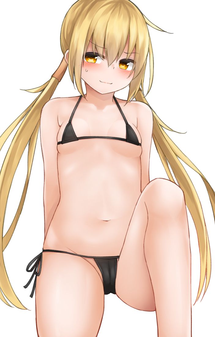 ビキニの二次元エロ画像。