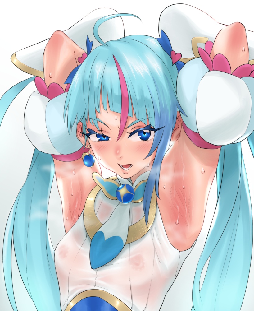 プリキュアのエロ画像下さい