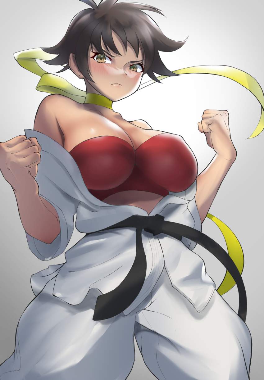 ストリートファイターについてのエロ画像