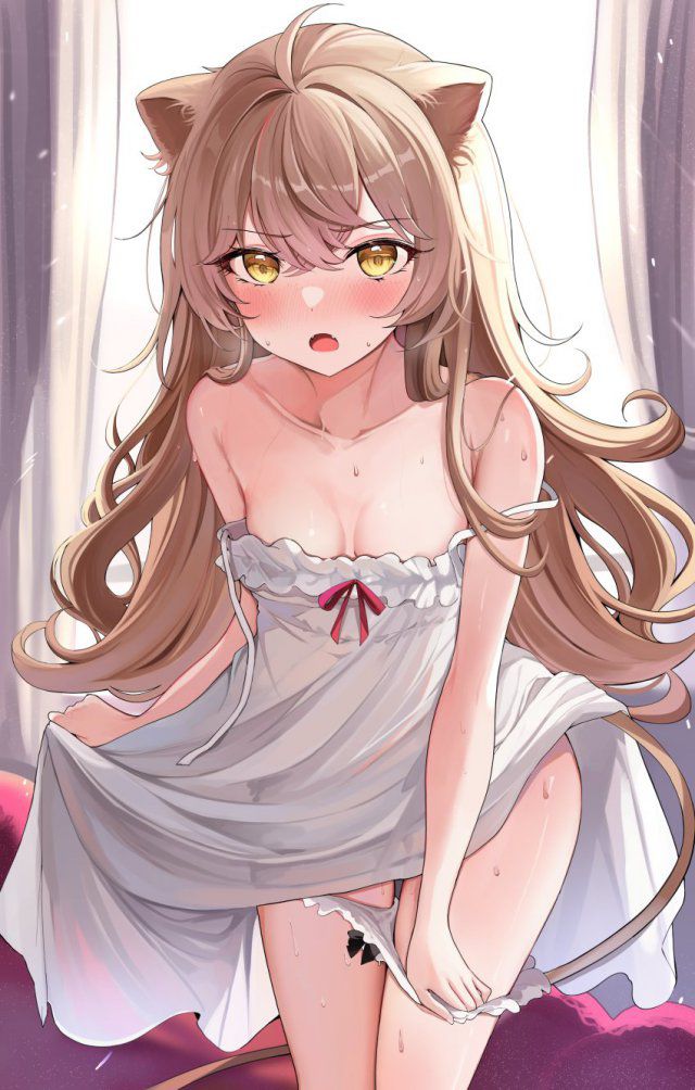 貧乳のエロ画像フォルダを解放していく