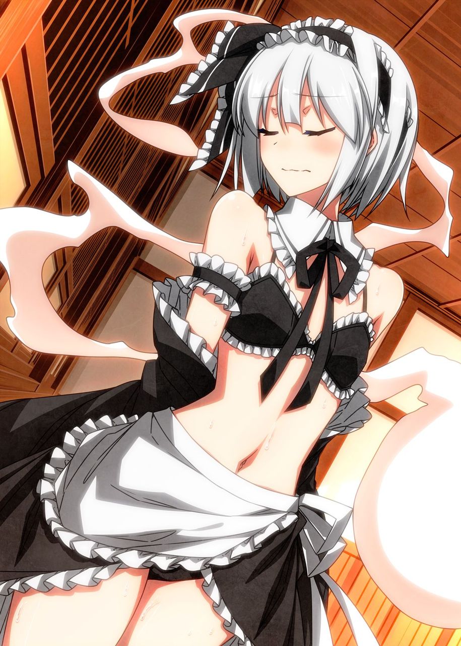 メイドのエロ画像集めてみた