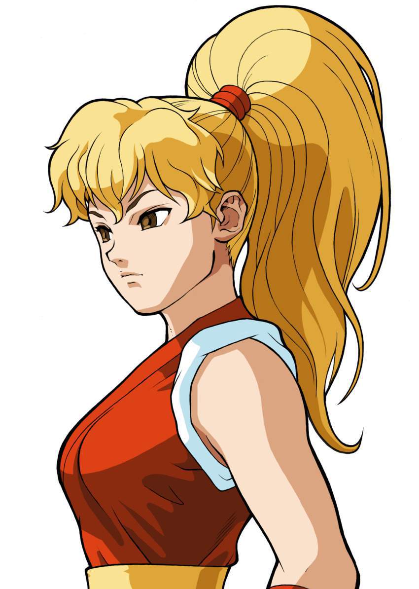 ストリートファイターの二次フェチ画像。