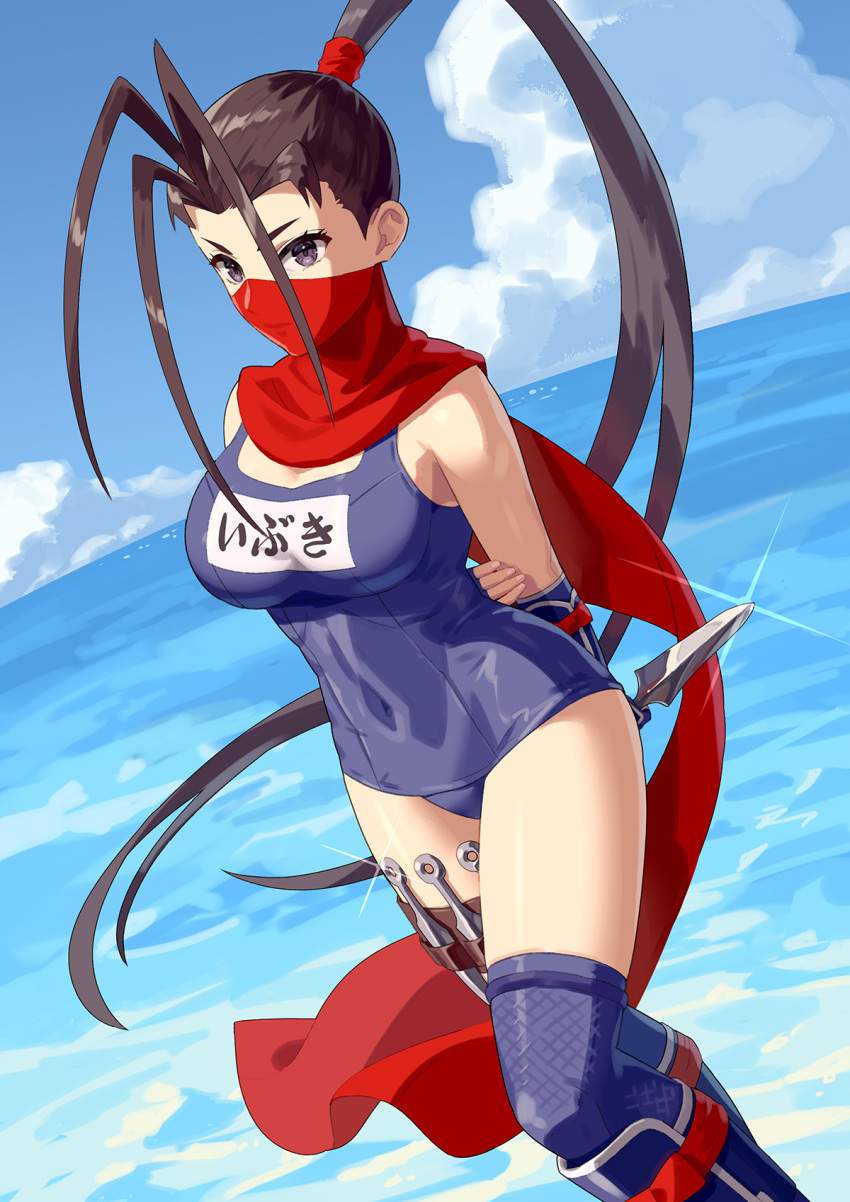 ストリートファイターのエロ画像