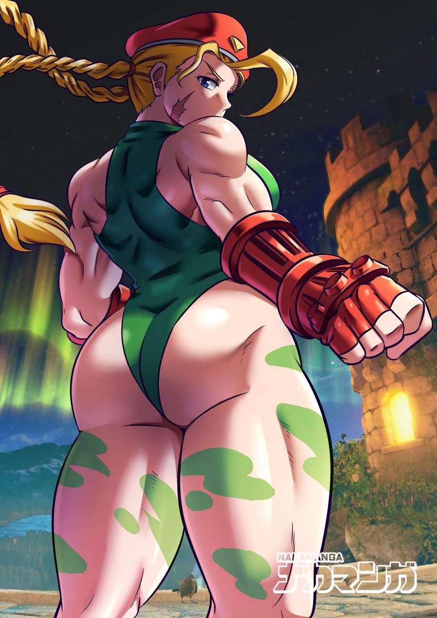 ストリートファイターのエロ画像