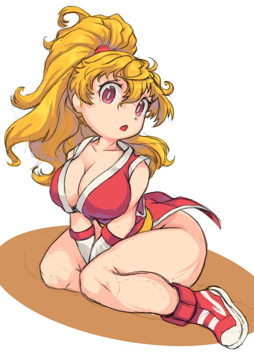 ストリートファイターの二次フェチ画像。