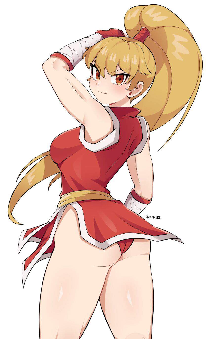 ストリートファイターの二次フェチ画像。