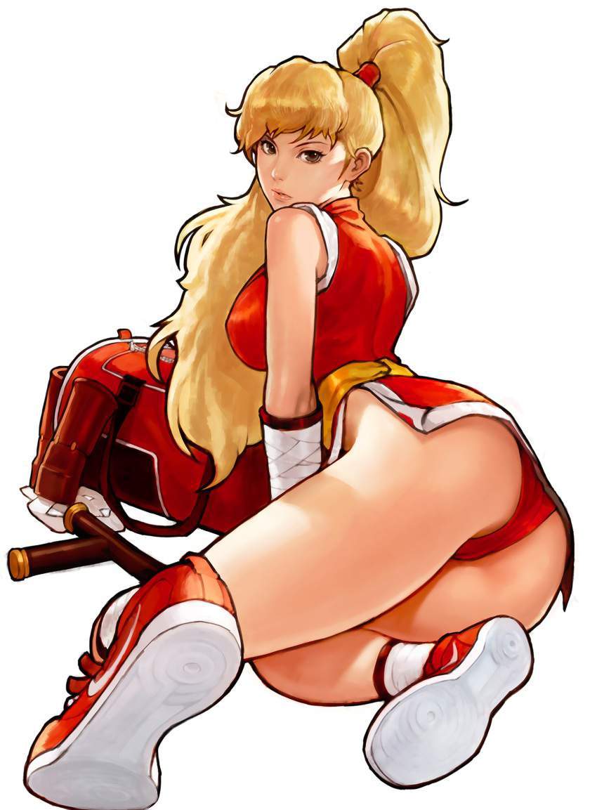 ストリートファイターの二次フェチ画像。