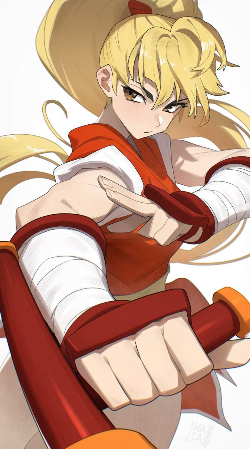 ストリートファイターの二次フェチ画像。