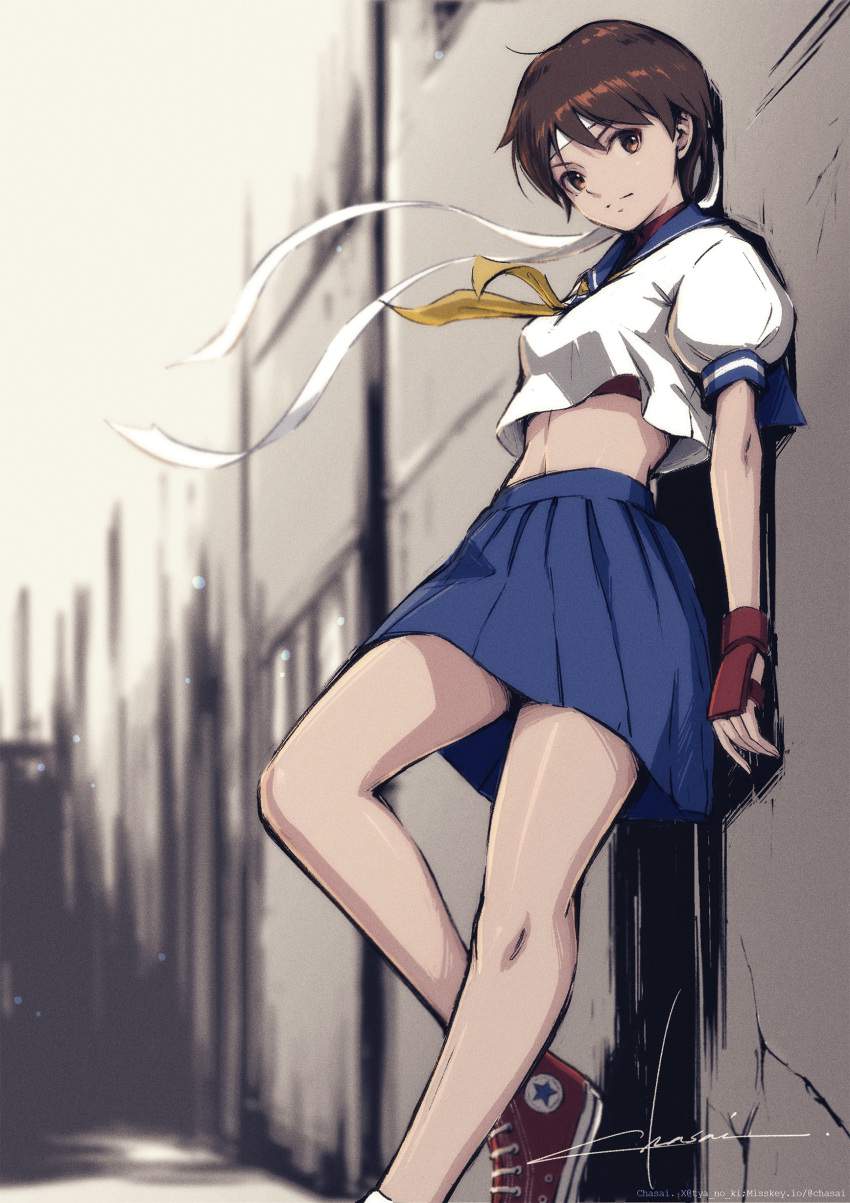 ストリートファイターの虹エロ画像