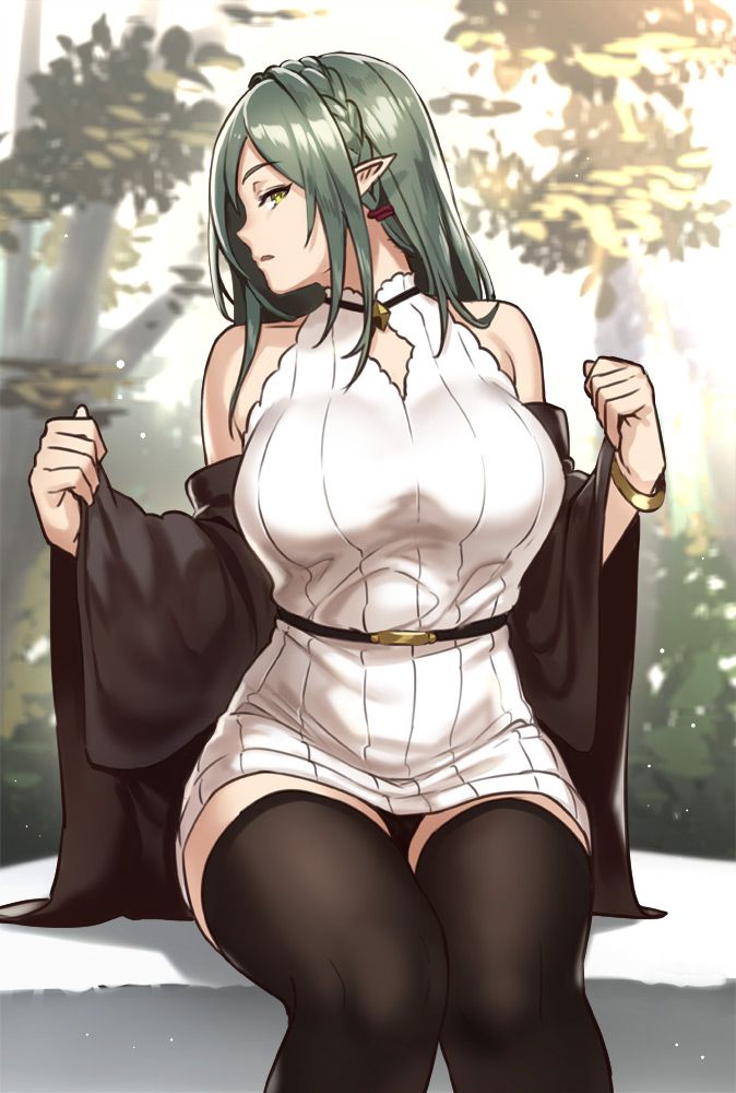 こんなにエロ過ぎるエルフの画像は反則です！