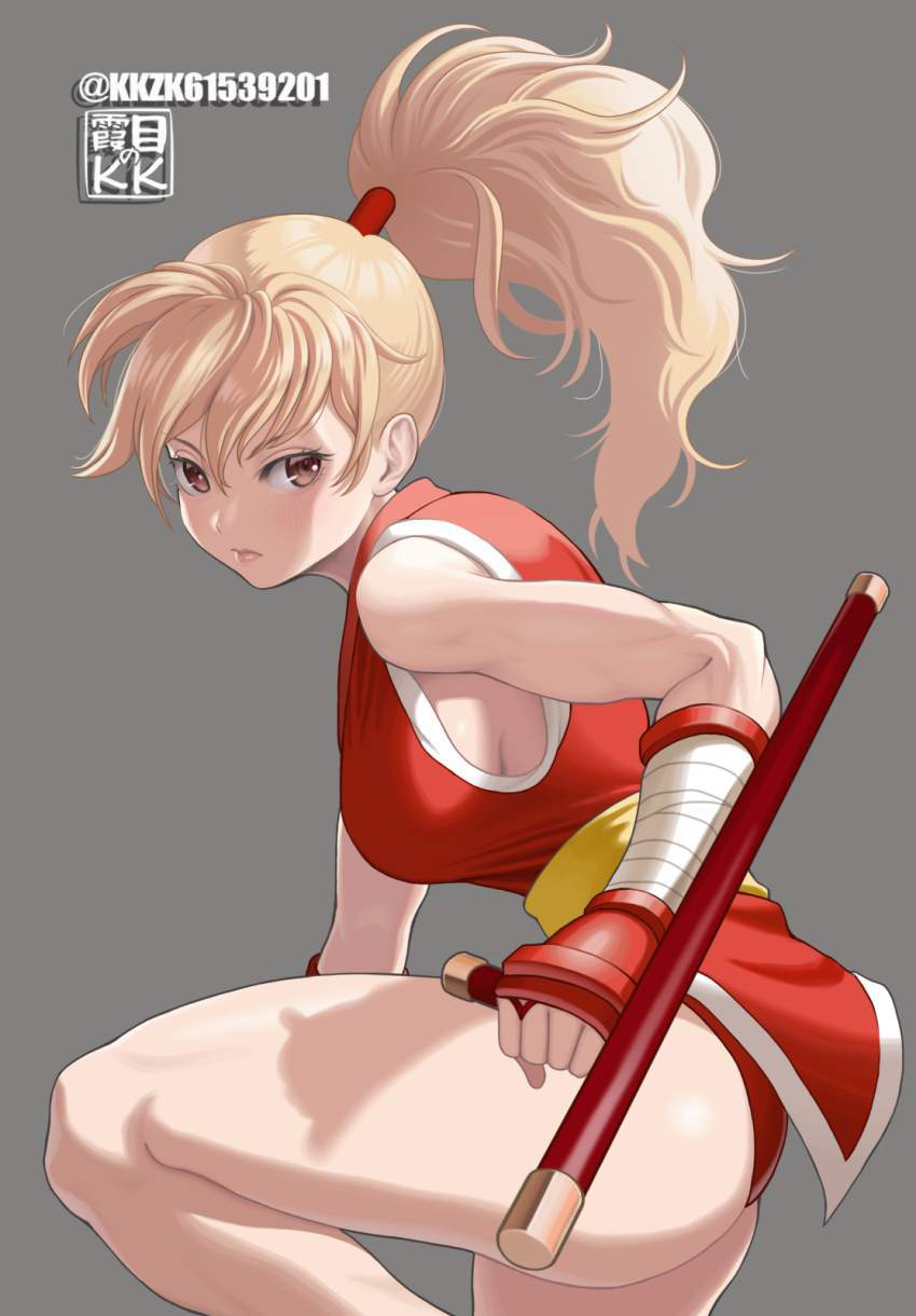 ストリートファイターの二次フェチ画像。