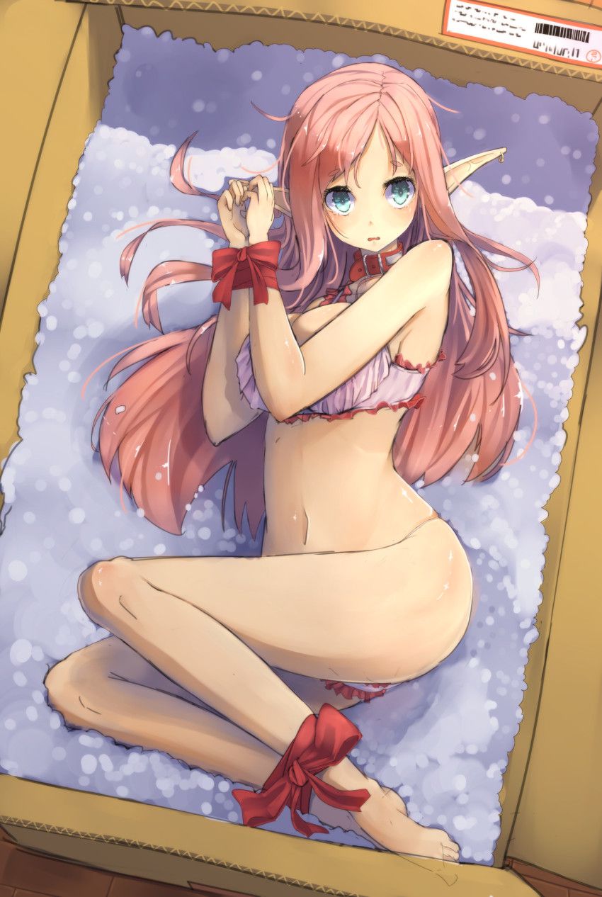 エルフのエロ画像をランダムに貼っていくスレ