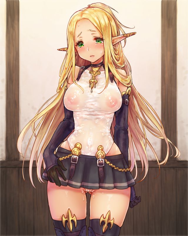 エルフのエロ画像詰め合わせ