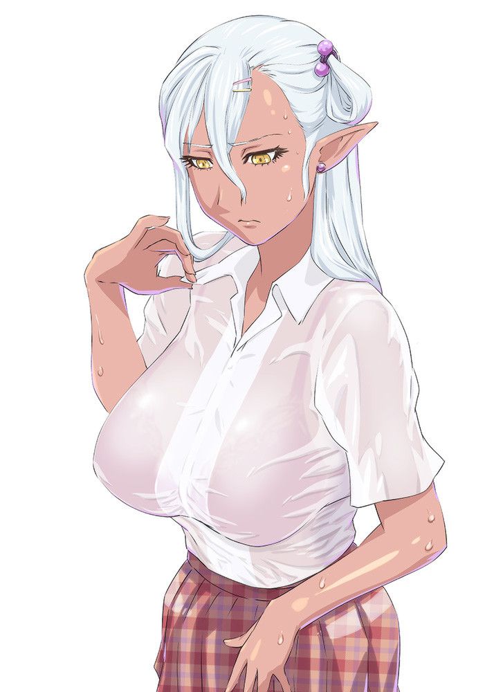 エルフのエロ画像詰め合わせ