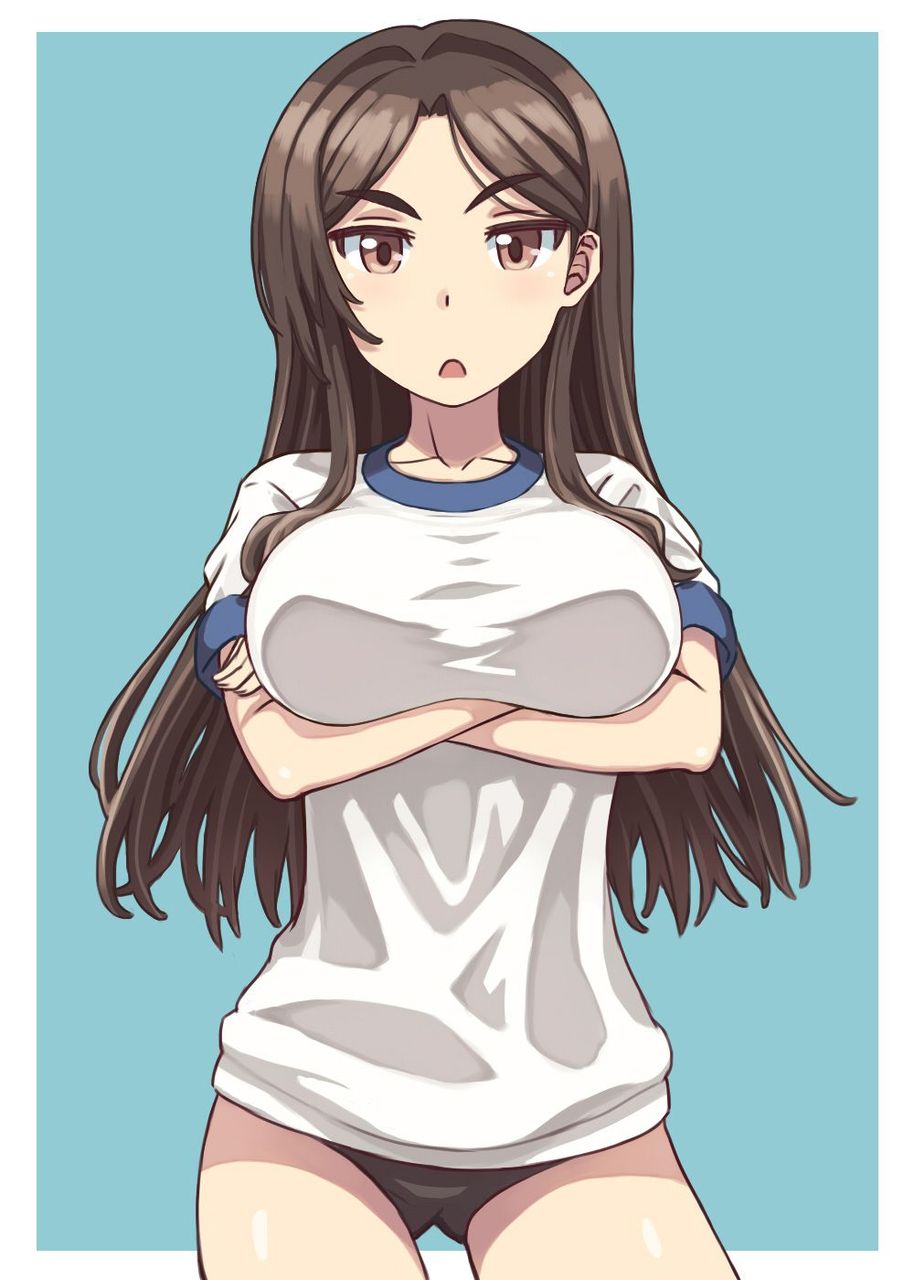 体操服・ブルマの二次画像がヌけすぎてこまる件について